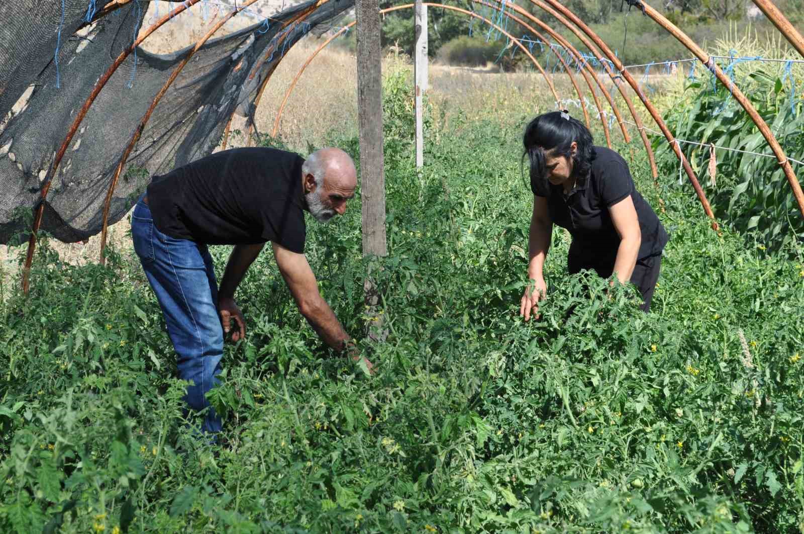 Eskişehir'de doğal yaşam, takas ve mutluluk