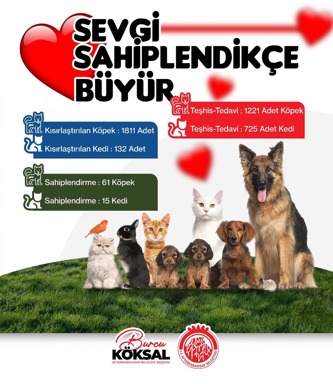Afyonkarahisar'da Hayvan Dostlarımıza Sıcak Yuva